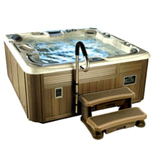 Поручень к СПА бассейну Spa Safe T-Rail Stainless Steel (рис.1)