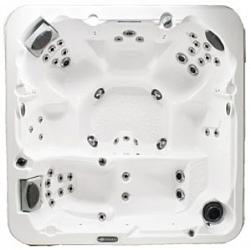 Спа бассейн Dimension One Spas Home Hot Tubs Latitude